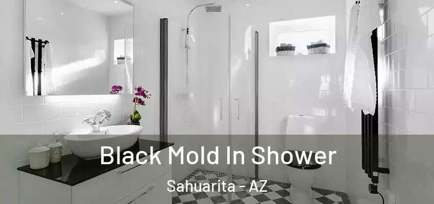  Black Mold In Shower Sahuarita - AZ