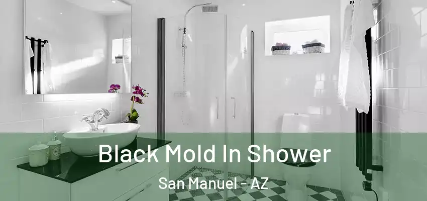Black Mold In Shower San Manuel - AZ