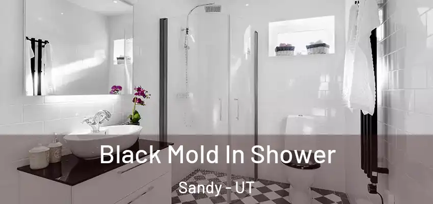  Black Mold In Shower Sandy - UT