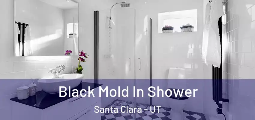 Black Mold In Shower Santa Clara - UT