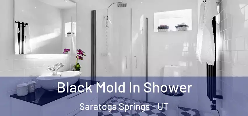  Black Mold In Shower Saratoga Springs - UT