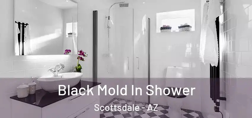  Black Mold In Shower Scottsdale - AZ