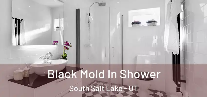  Black Mold In Shower South Salt Lake - UT