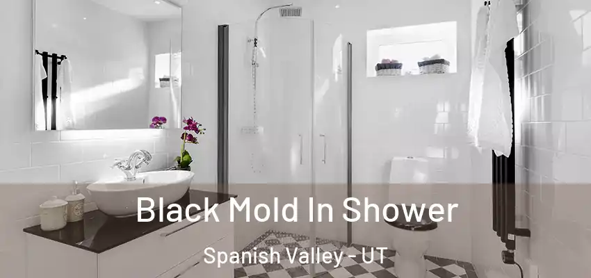  Black Mold In Shower Spanish Valley - UT