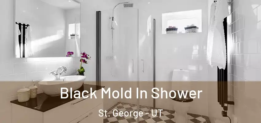  Black Mold In Shower St. George - UT