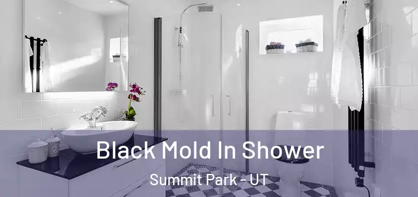  Black Mold In Shower Summit Park - UT