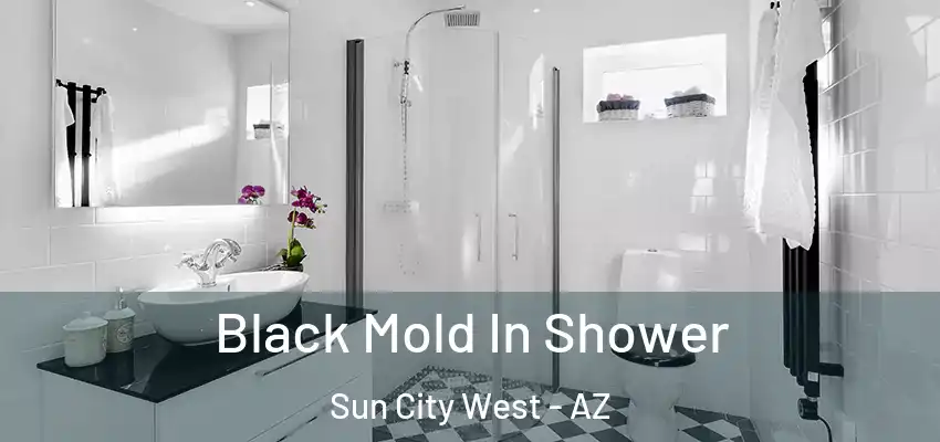  Black Mold In Shower Sun City West - AZ