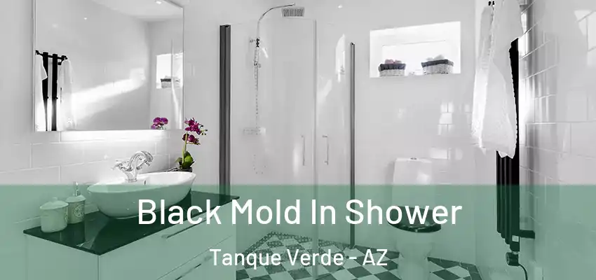 Black Mold In Shower Tanque Verde - AZ
