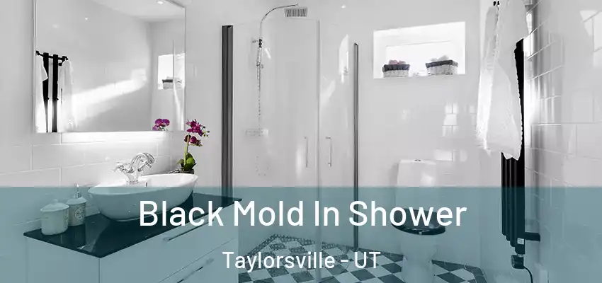 Black Mold In Shower Taylorsville - UT
