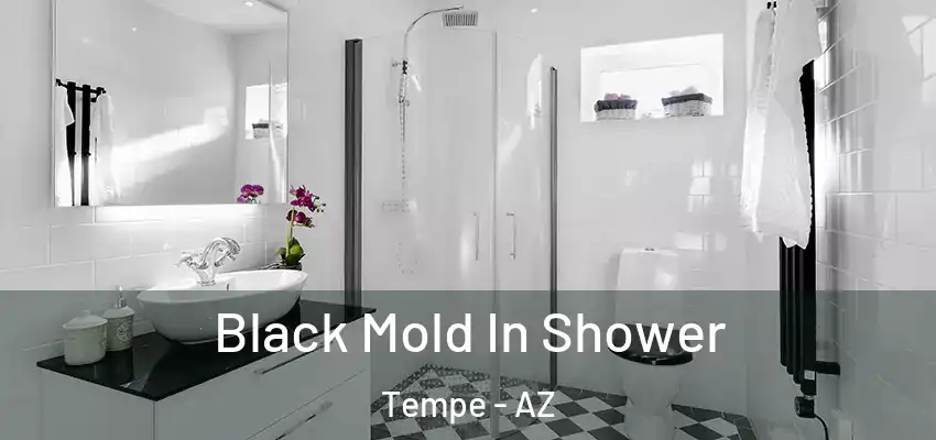  Black Mold In Shower Tempe - AZ