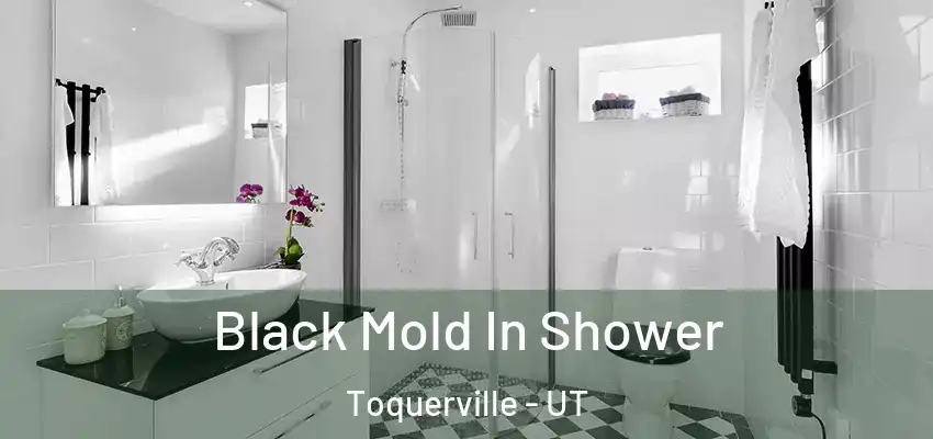  Black Mold In Shower Toquerville - UT