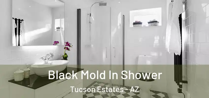 Black Mold In Shower Tucson Estates - AZ