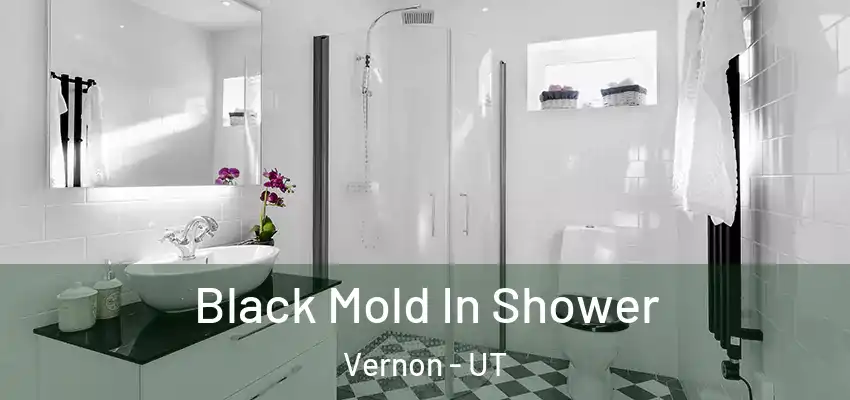 Black Mold In Shower Vernon - UT