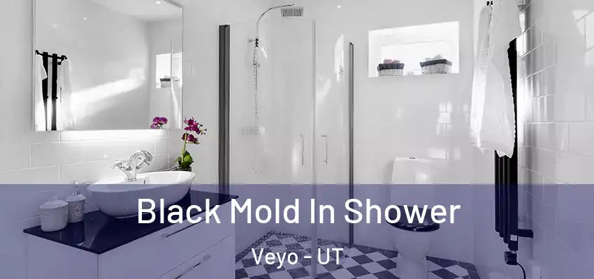 Black Mold In Shower Veyo - UT