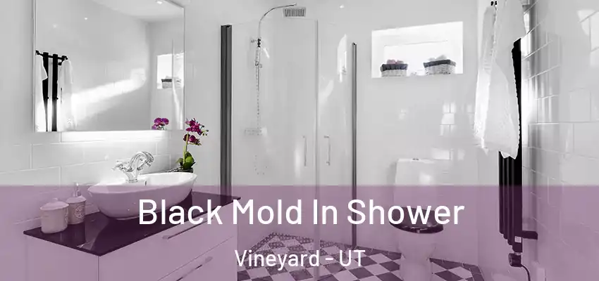  Black Mold In Shower Vineyard - UT