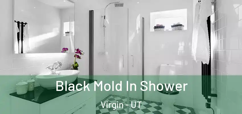  Black Mold In Shower Virgin - UT