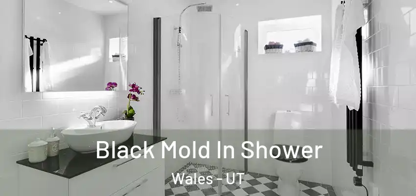  Black Mold In Shower Wales - UT
