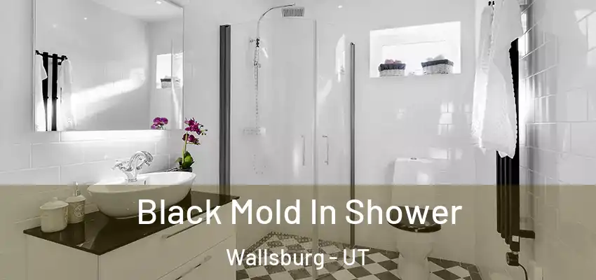  Black Mold In Shower Wallsburg - UT