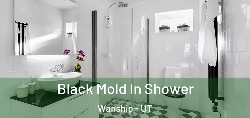  Black Mold In Shower Wanship - UT