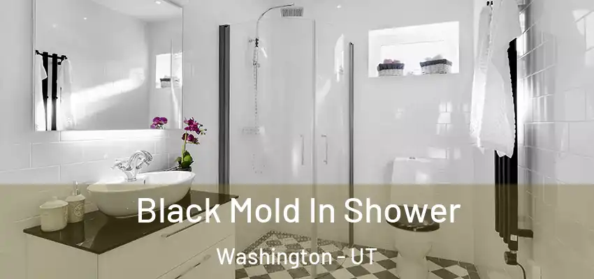  Black Mold In Shower Washington - UT