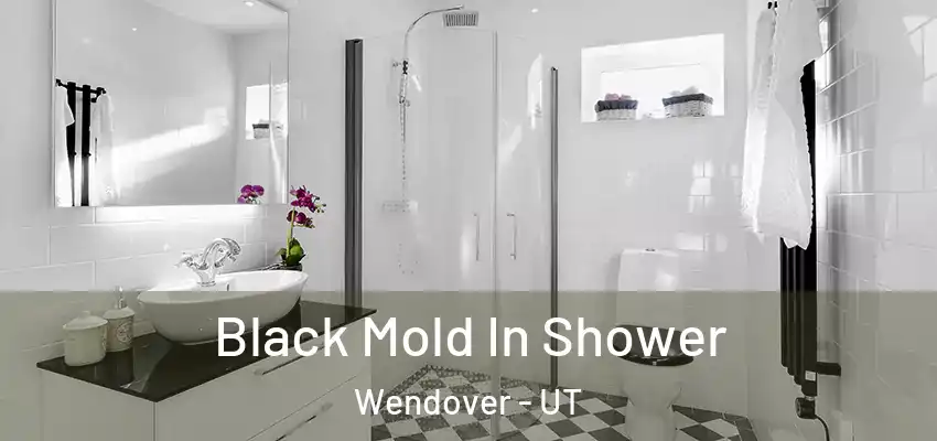  Black Mold In Shower Wendover - UT