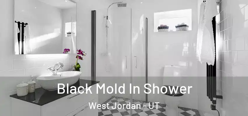 Black Mold In Shower West Jordan - UT