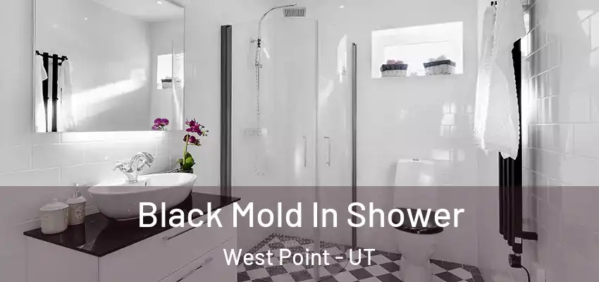  Black Mold In Shower West Point - UT