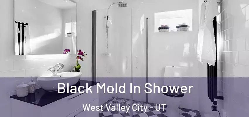  Black Mold In Shower West Valley City - UT