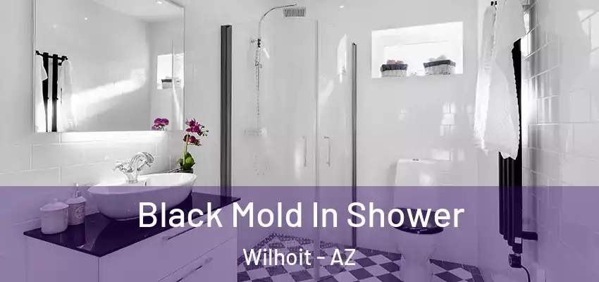 Black Mold In Shower Wilhoit - AZ