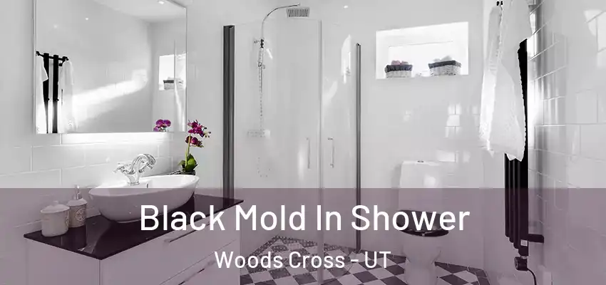 Black Mold In Shower Woods Cross - UT
