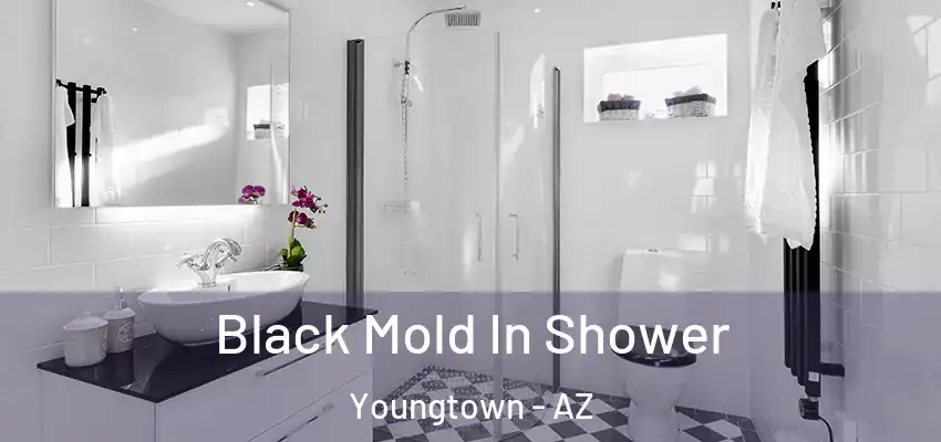 Black Mold In Shower Youngtown - AZ