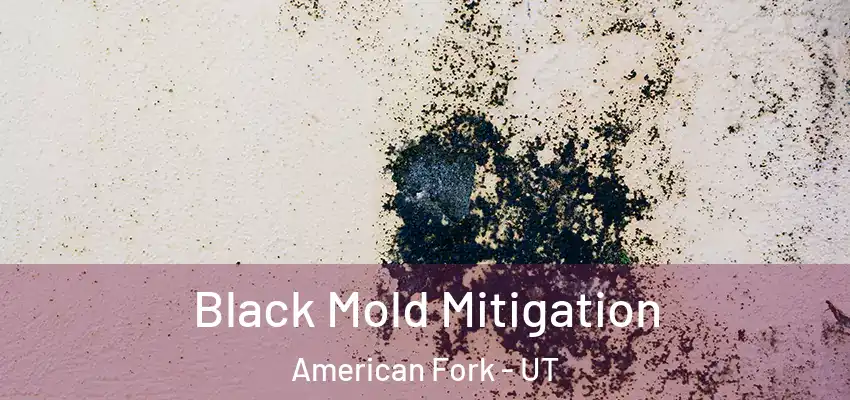 Black Mold Mitigation American Fork - UT