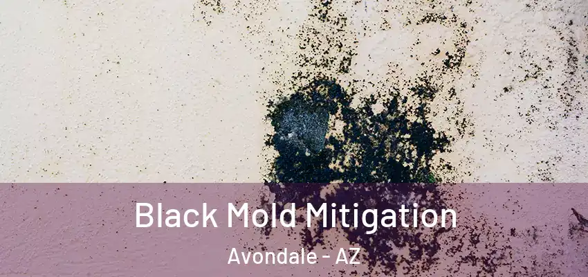 Black Mold Mitigation Avondale - AZ