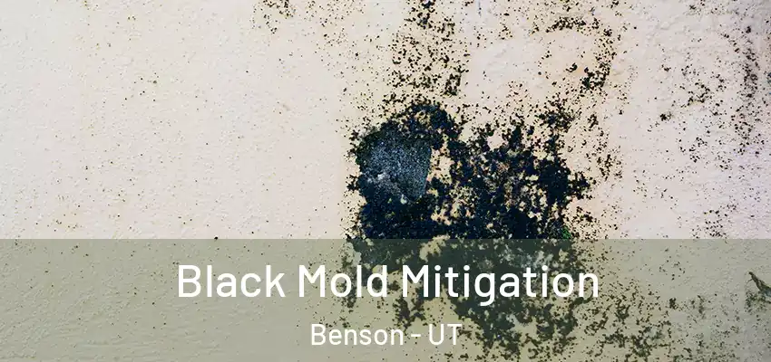  Black Mold Mitigation Benson - UT