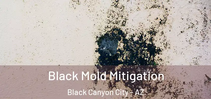  Black Mold Mitigation Black Canyon City - AZ