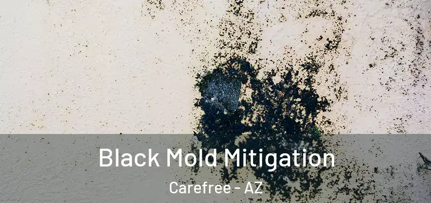  Black Mold Mitigation Carefree - AZ