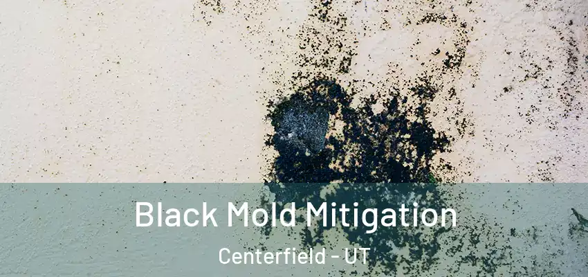 Black Mold Mitigation Centerfield - UT