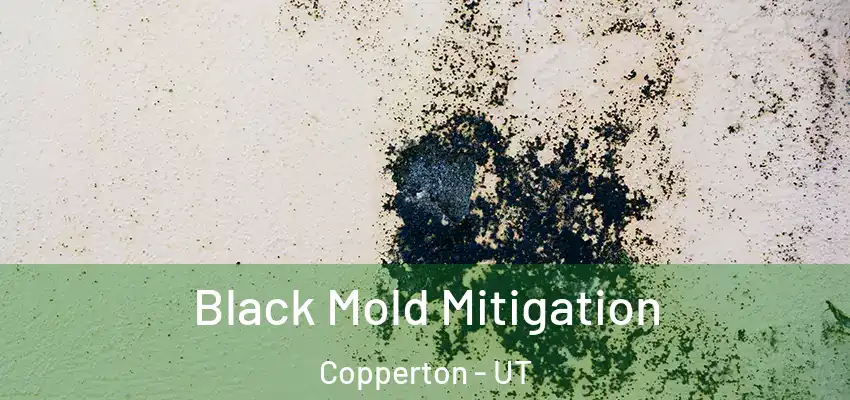 Black Mold Mitigation Copperton - UT