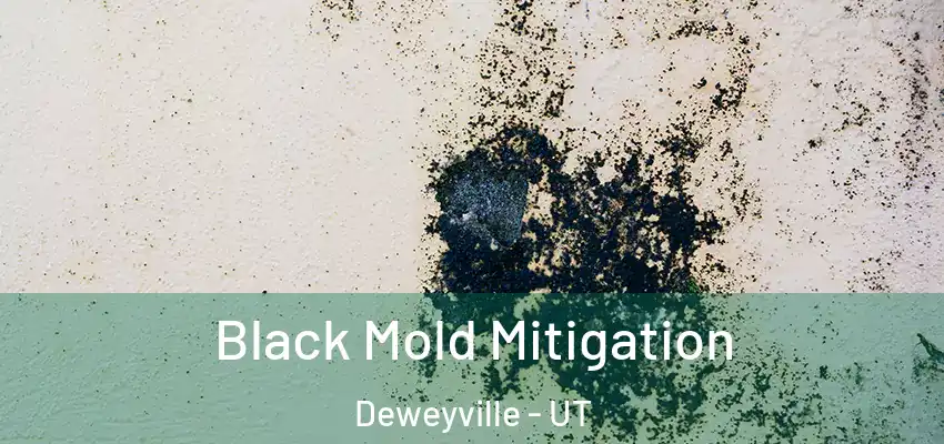  Black Mold Mitigation Deweyville - UT
