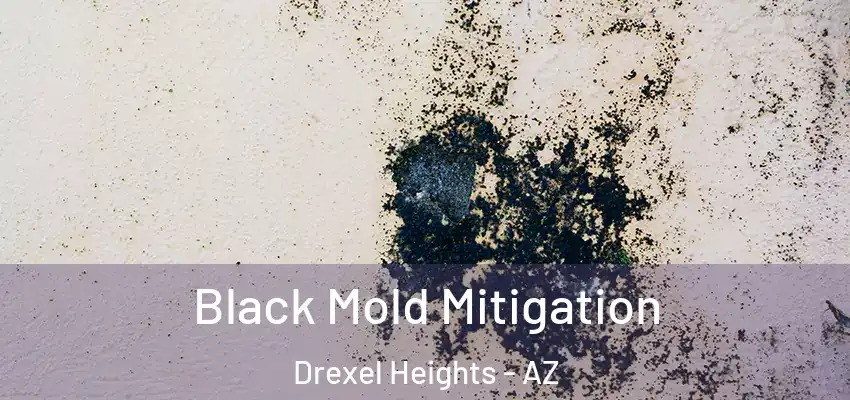  Black Mold Mitigation Drexel Heights - AZ