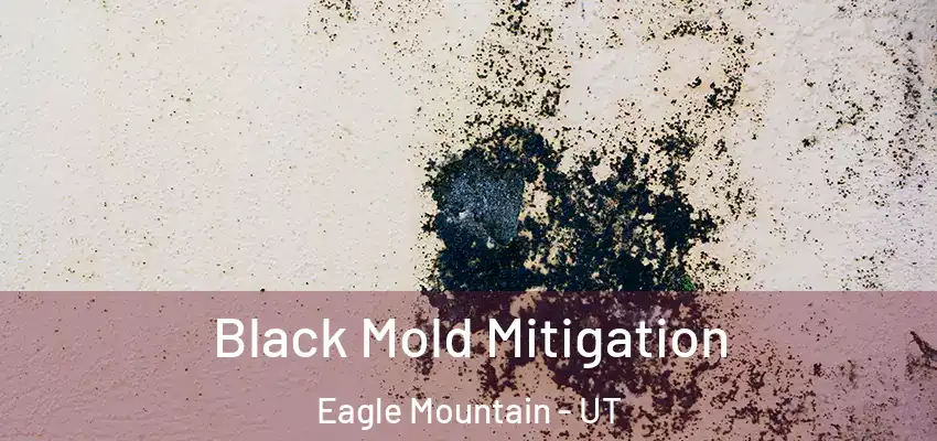  Black Mold Mitigation Eagle Mountain - UT