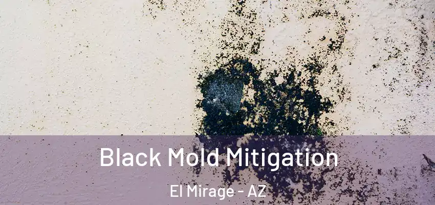  Black Mold Mitigation El Mirage - AZ