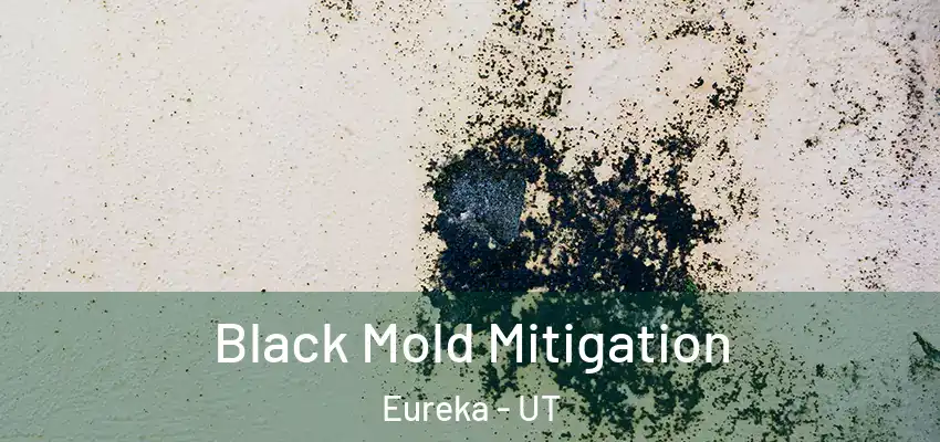  Black Mold Mitigation Eureka - UT