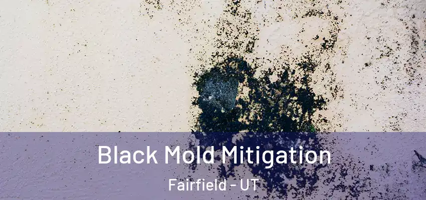  Black Mold Mitigation Fairfield - UT