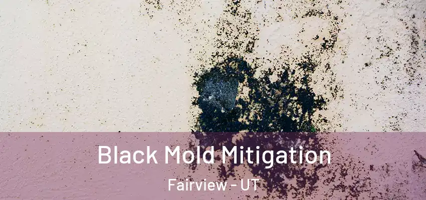 Black Mold Mitigation Fairview - UT
