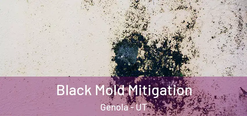  Black Mold Mitigation Genola - UT