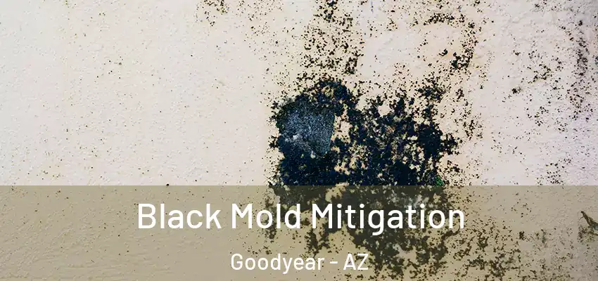 Black Mold Mitigation Goodyear - AZ
