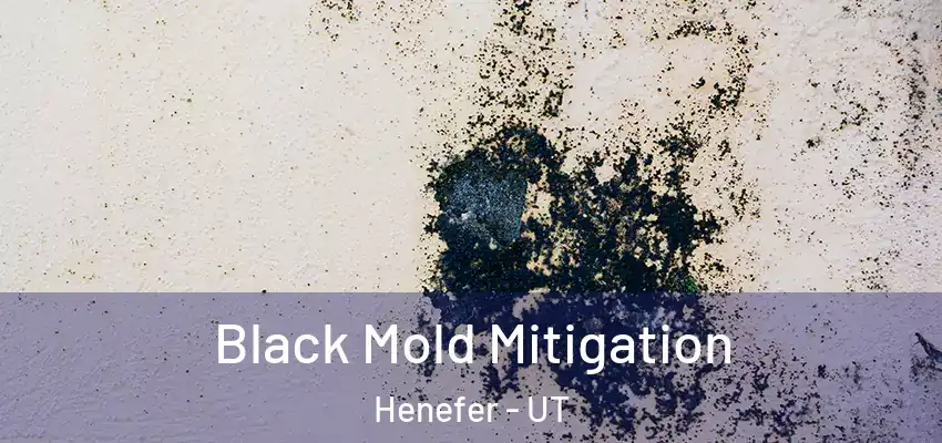 Black Mold Mitigation Henefer - UT