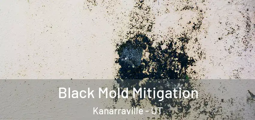  Black Mold Mitigation Kanarraville - UT