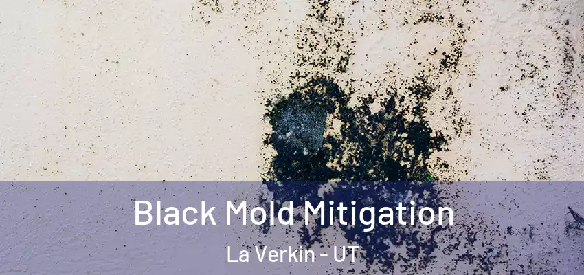  Black Mold Mitigation La Verkin - UT